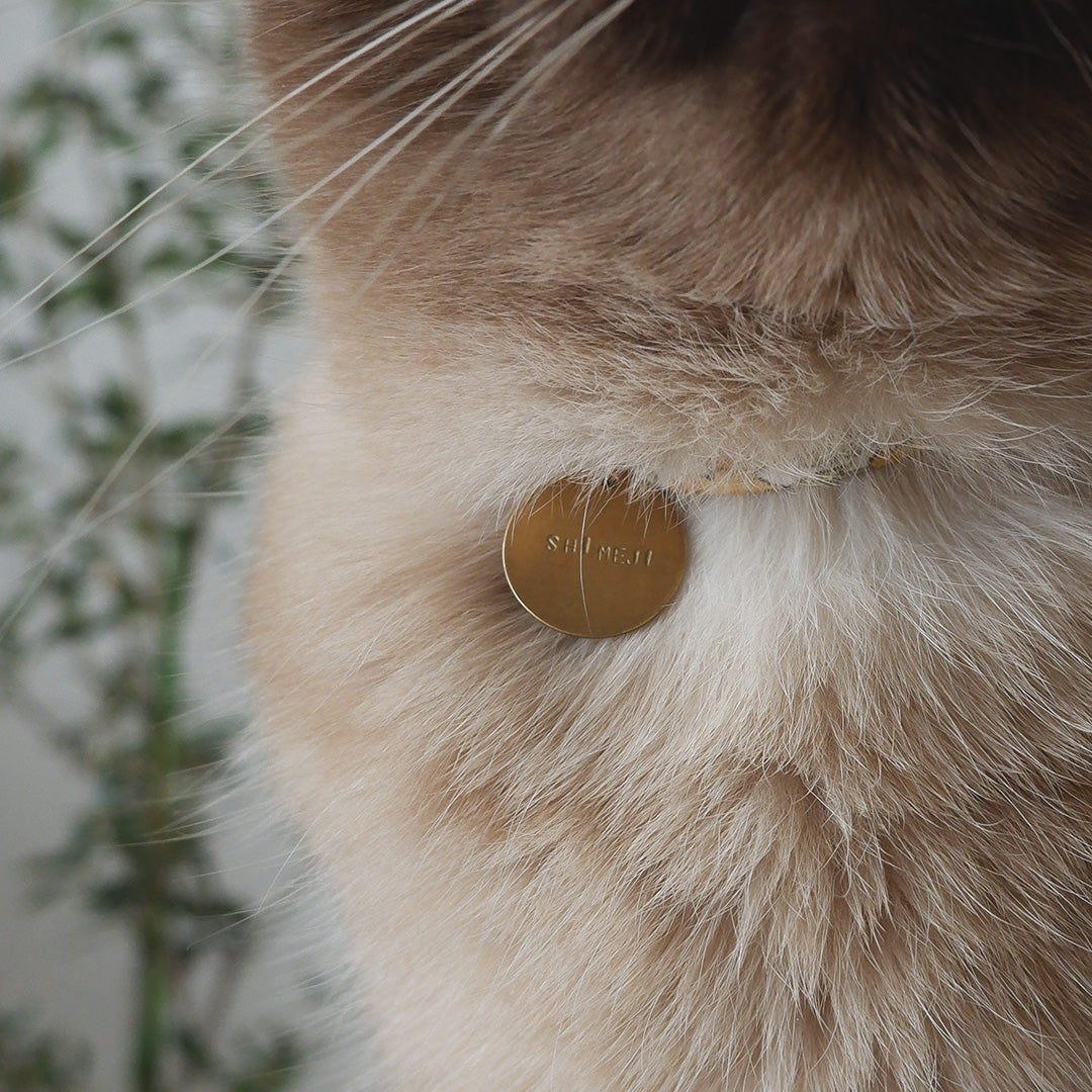 [Limited Quantity | Order Period 5/1-5/3] Order Name Charm (for collars)