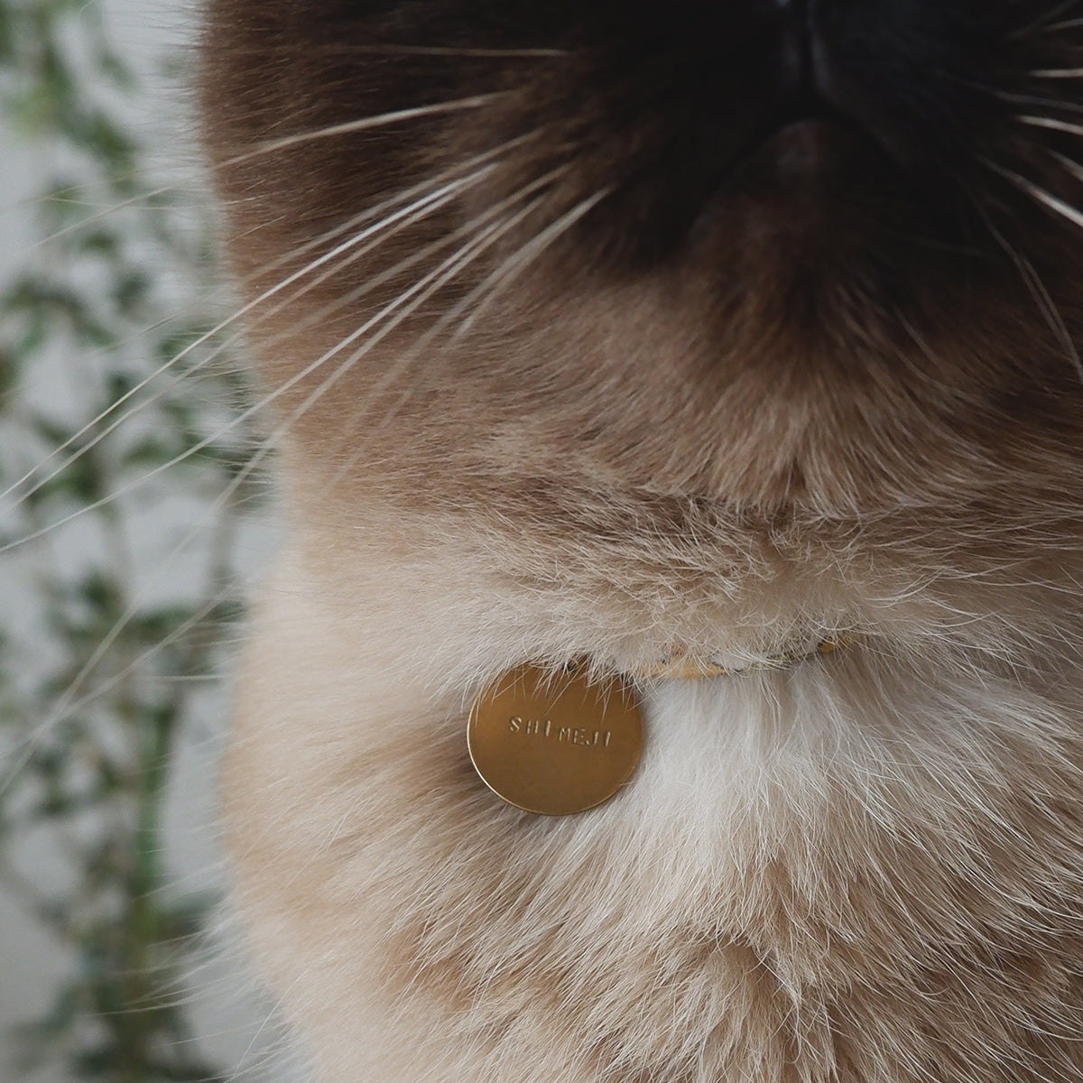 [Limited Quantity | Order Period 8/1-8/3] Order Name Charm (for collars)