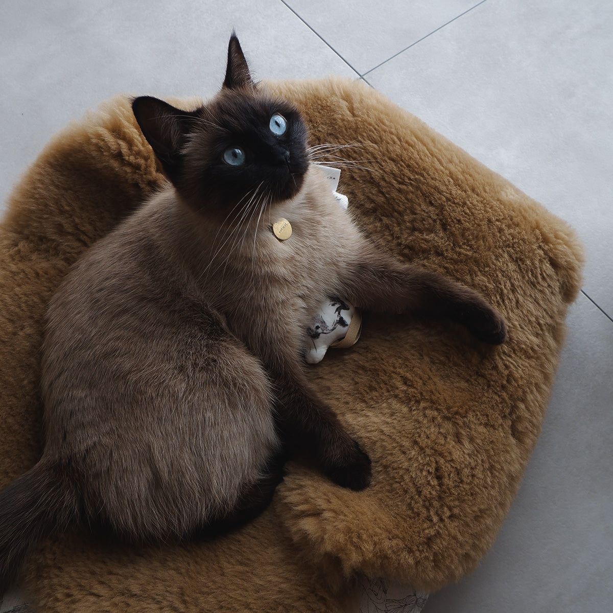 [Limited Quantity | Order Period 8/1-8/3] Order Name Charm (for collars)