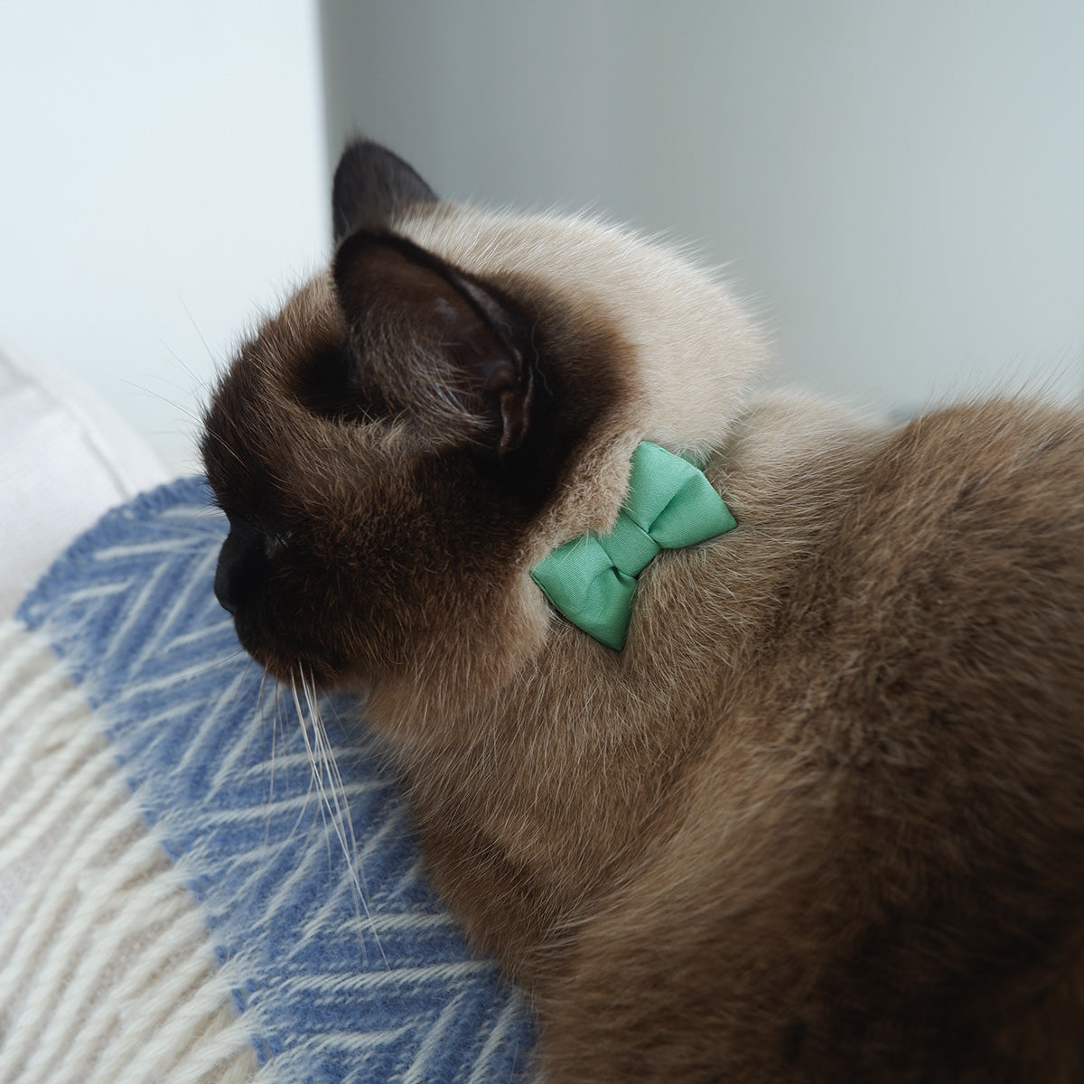 猫にやさしいコットン首輪/リボン【Leaf】