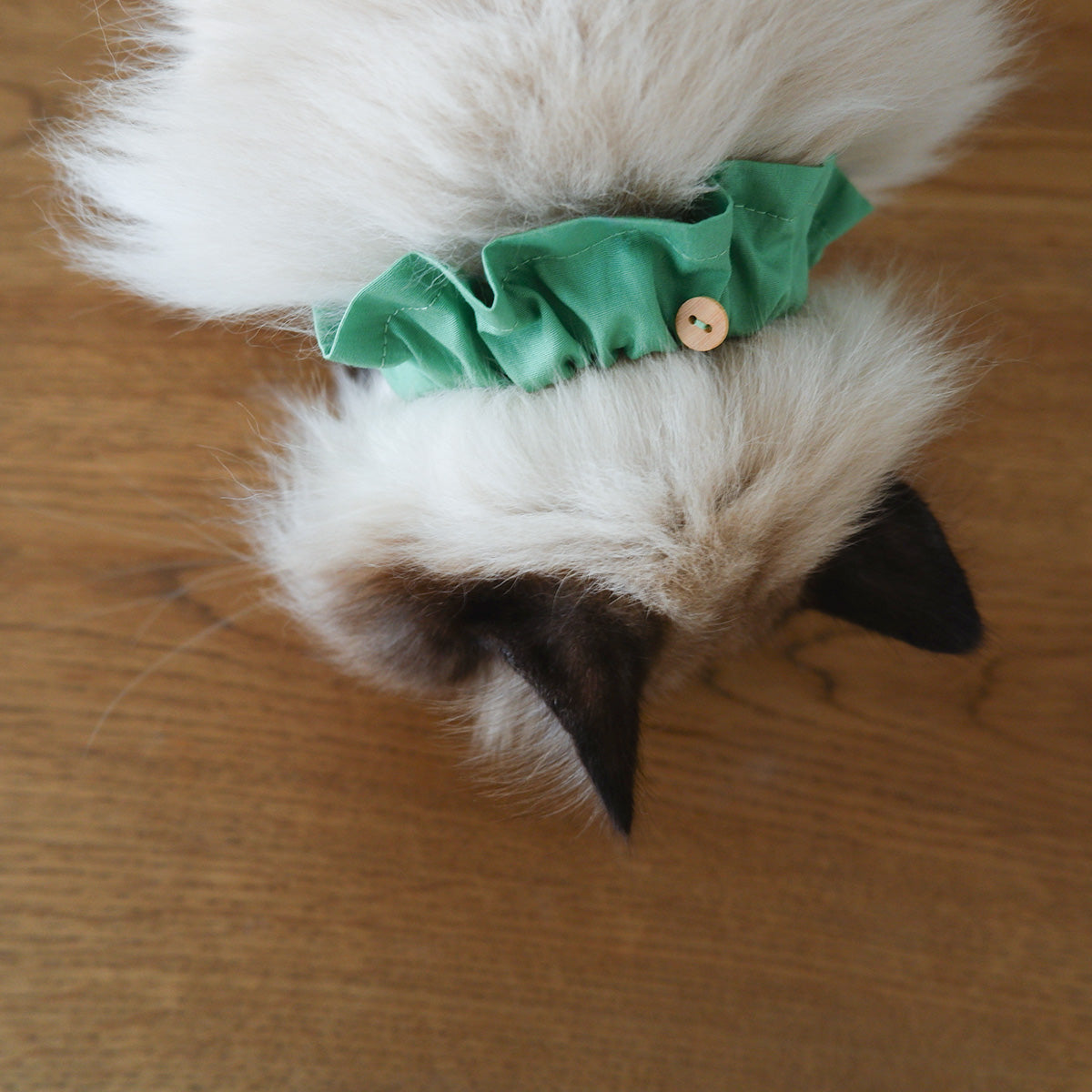 猫にやさしいコットン首輪/フリル【Leaf】