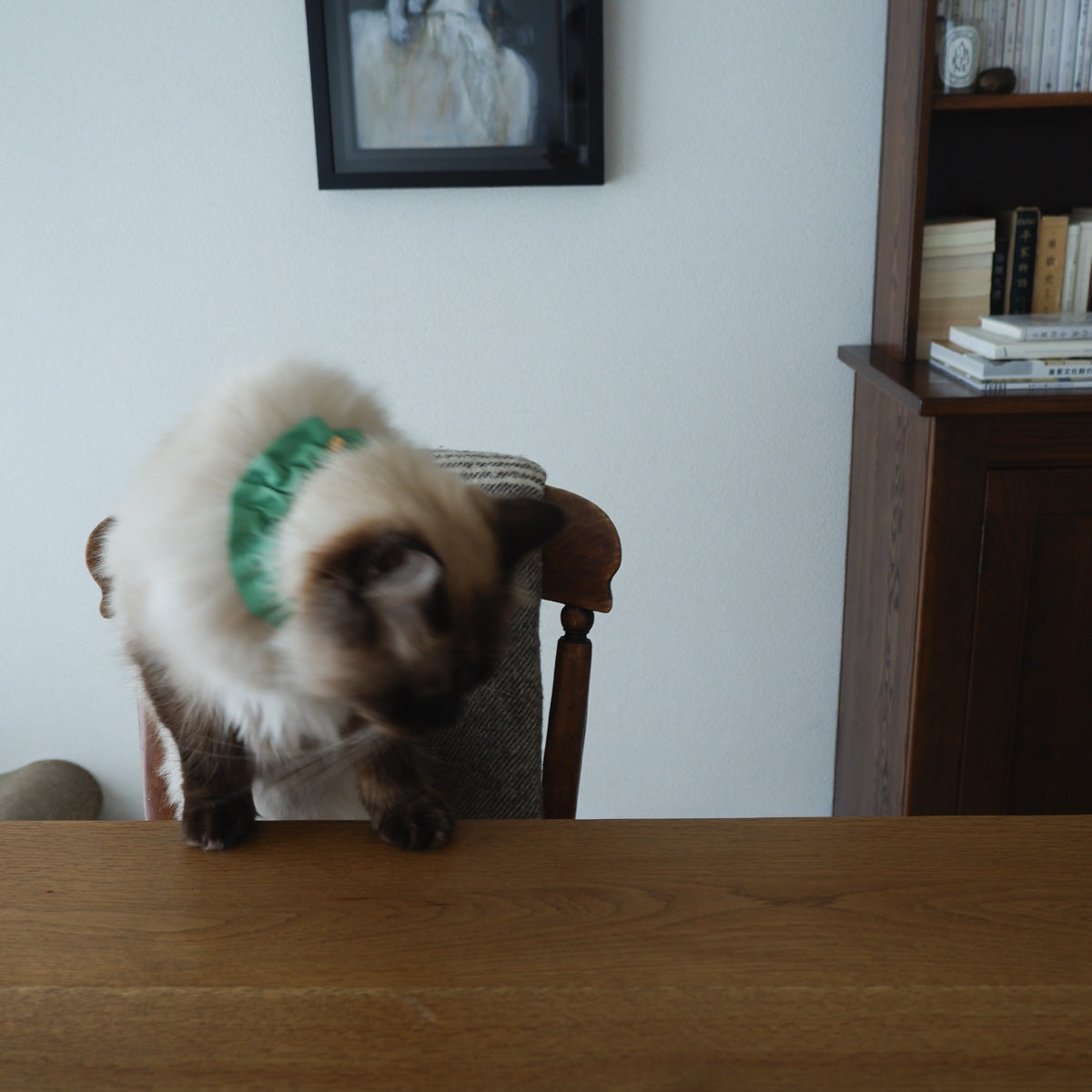 猫にやさしいコットン首輪/フリル【Leaf】