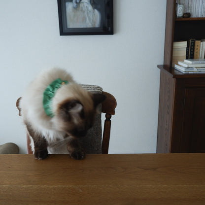 猫にやさしいコットン首輪/フリル【Leaf】