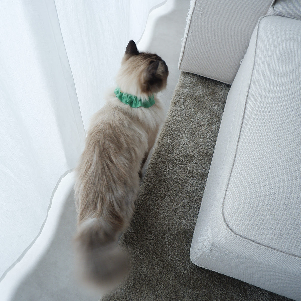 猫にやさしいコットン首輪/フリル【Leaf】