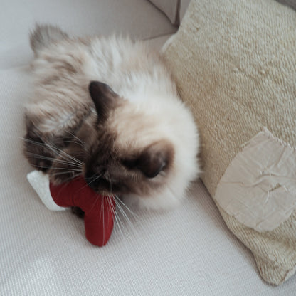 Holiday Toy（キャットニップサシェ付き）【Santa boots】